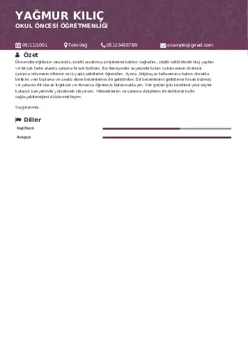 Okul Öncesi Öğretmeni Öğretmenliği Cv Örnekleri cv indir